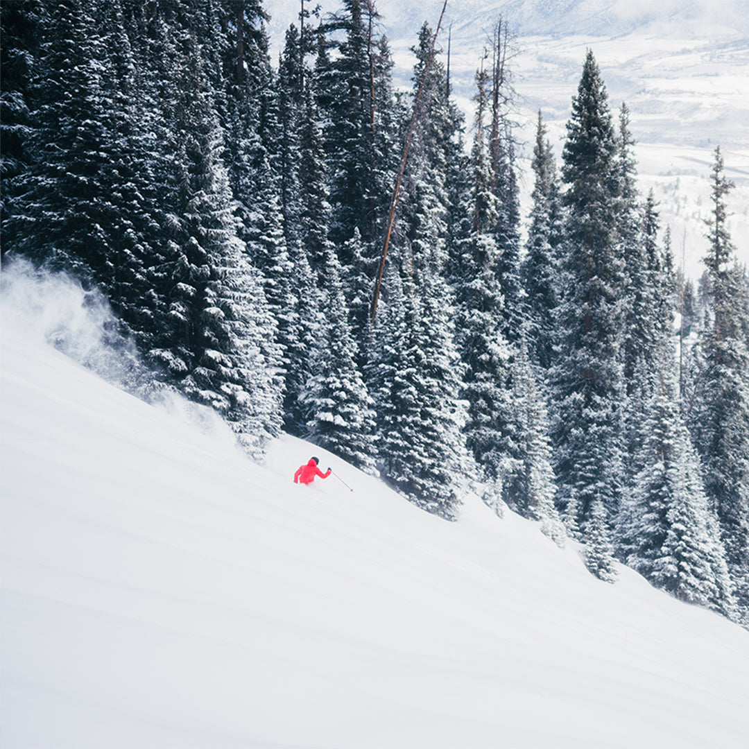 ski action snowy trees scenic